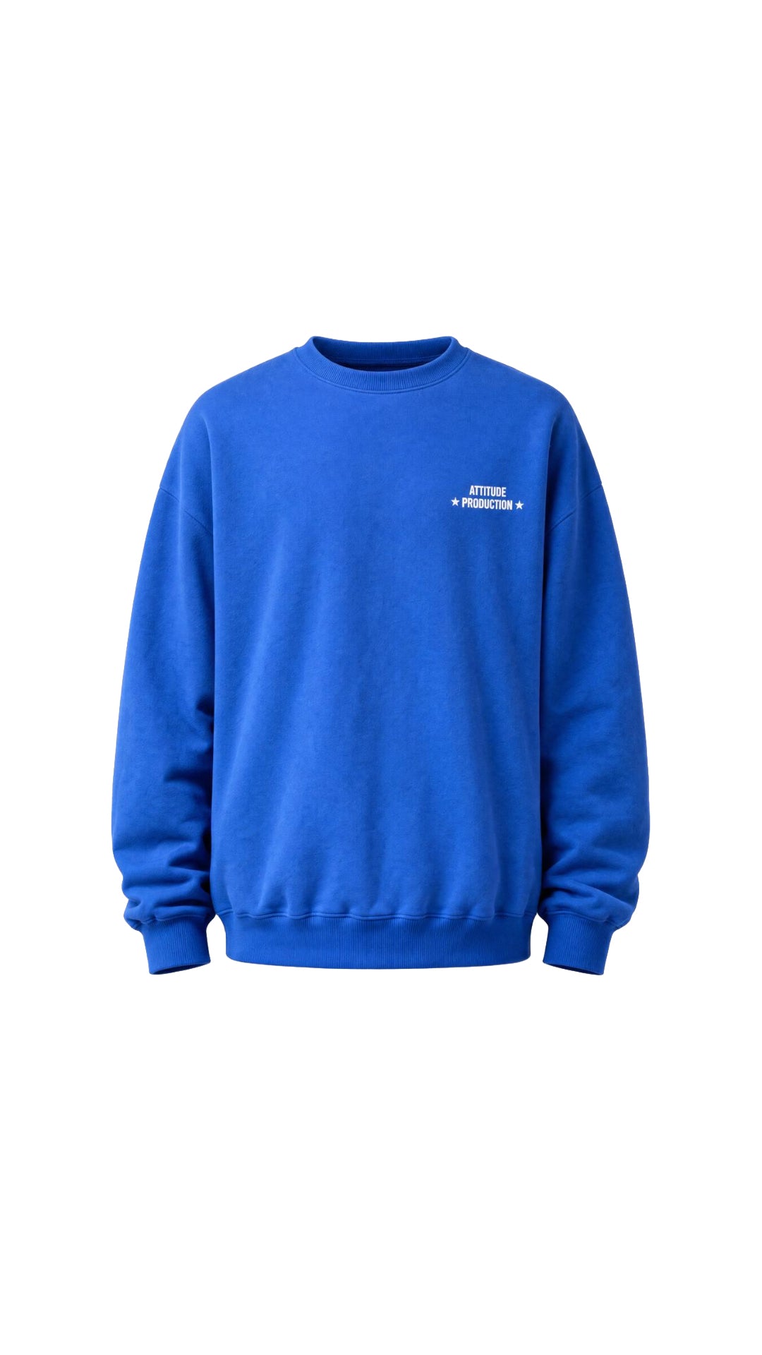 MAVİ BASKI DETAYLI SWEAT 25K-005